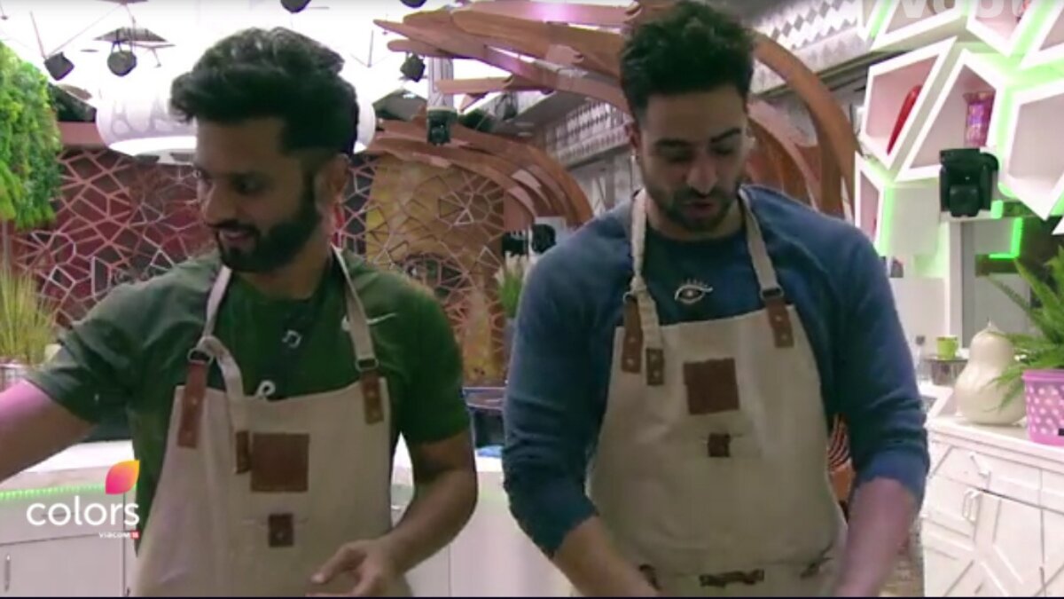 Bigg Boss 14: Aly Goni is all praises for Eijaz Khan, says, “Ghar wali feeling aati hai unke sath”