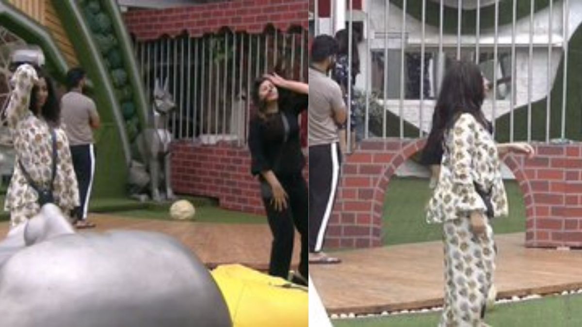 Bigg Boss 14: SPOILER ALERT- The Captaincy Task turns housemates into Scientists and Rats
