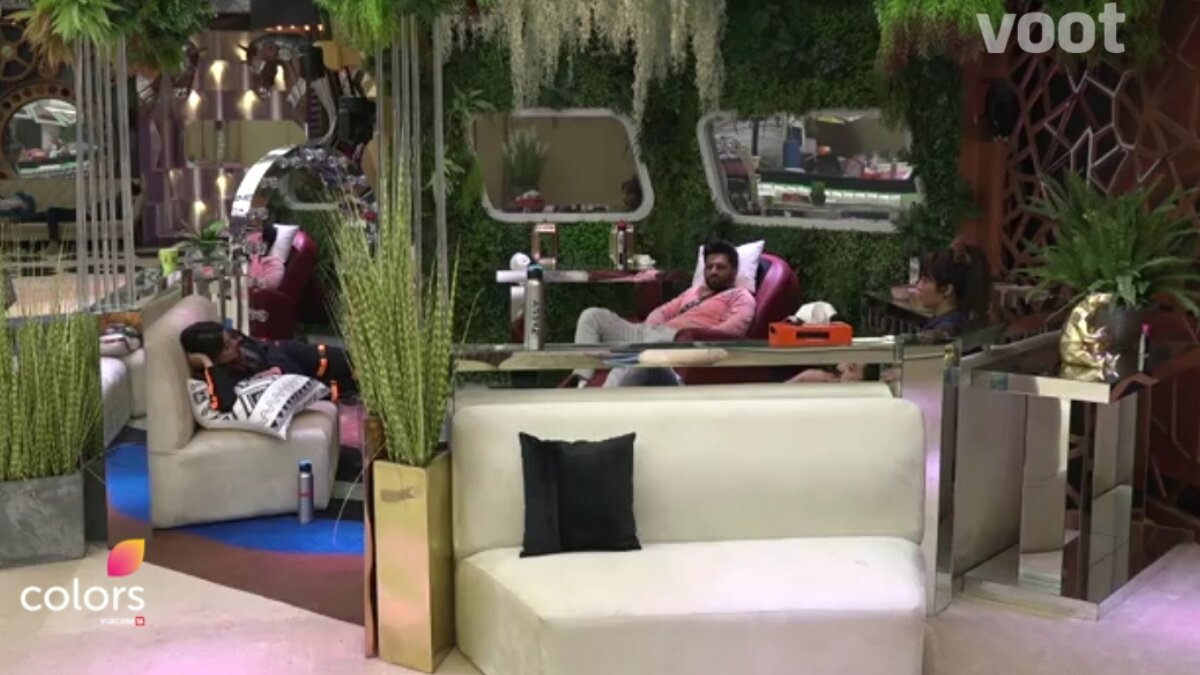 Bigg Boss 14: Have a look at the meanings of Names and Surnames of Rahul Vaidya, Nikki Tamboli, Aly Goni and Arshi Khan