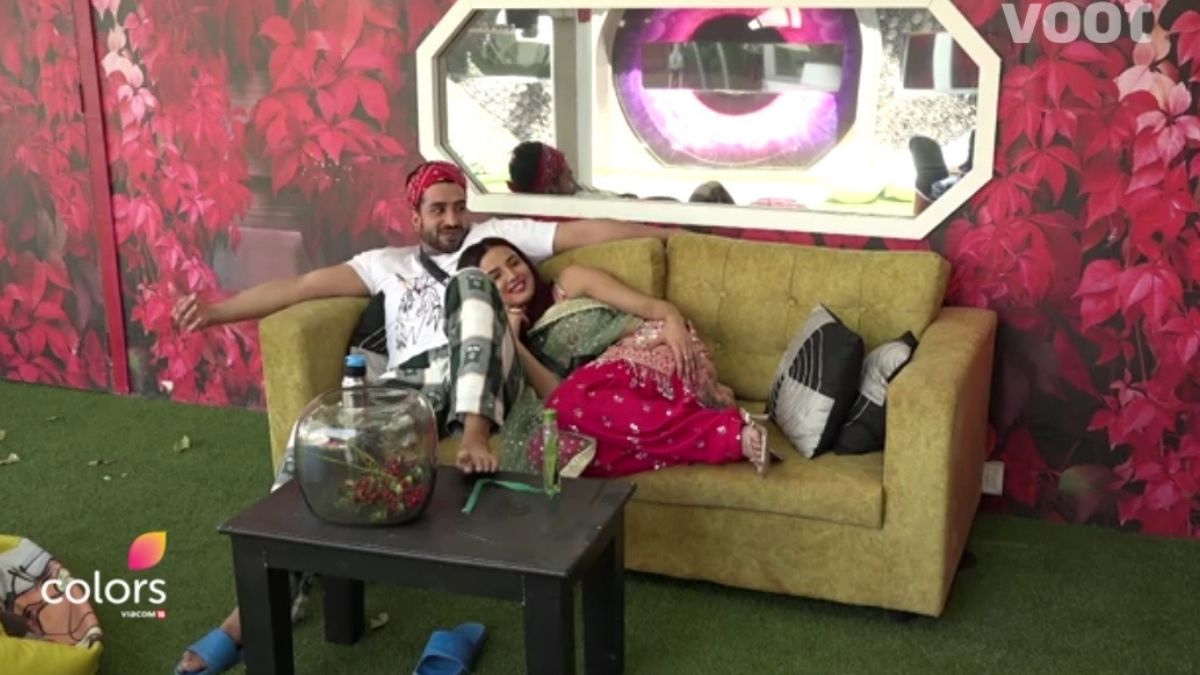 Bigg Boss 14: Aly Goni expresses how much he missed Jasmin Bhasin; She mocks saying, “Dekh ke lag toh nai raha tha ki tu mujhe miss kar raha hai”