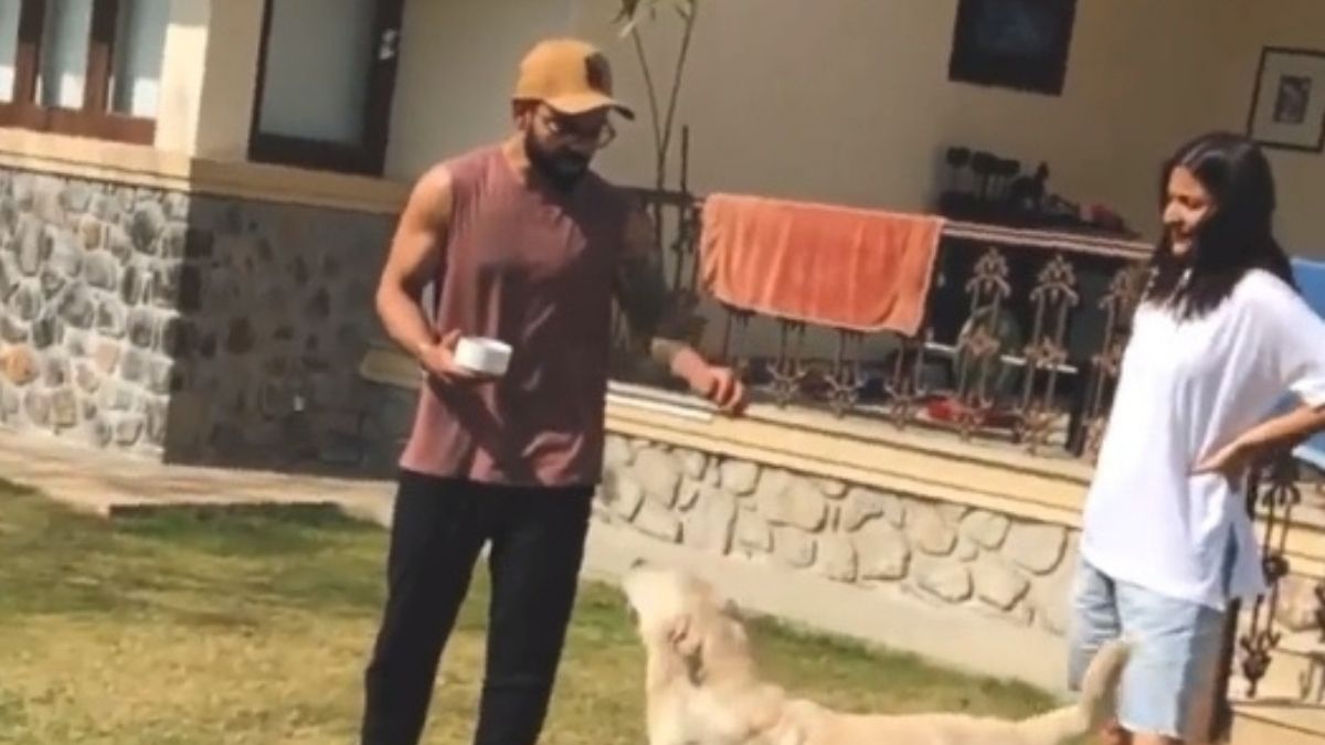 Anushka shares ‘priceless moments’ of 2020