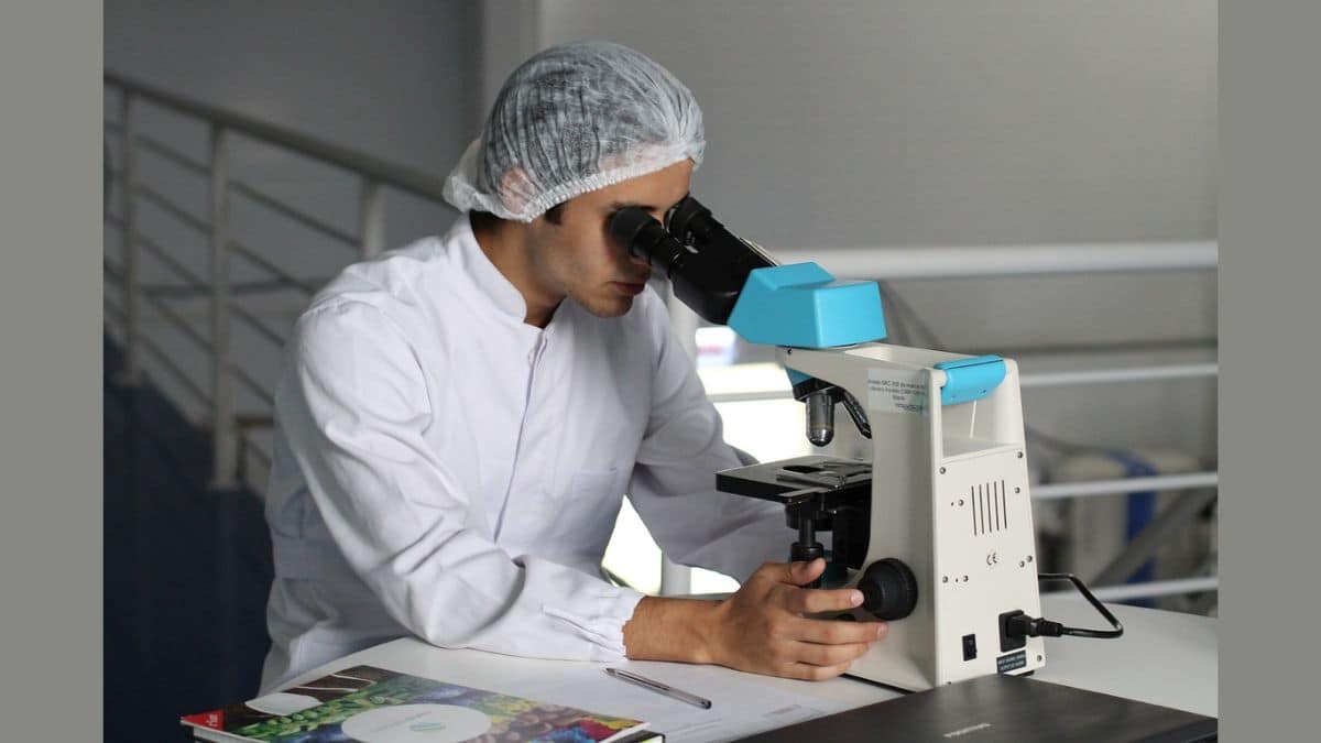 The 5 most employed Peptides in Weight Research