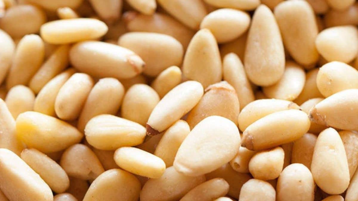 4 Benefits of Pine nuts consumption