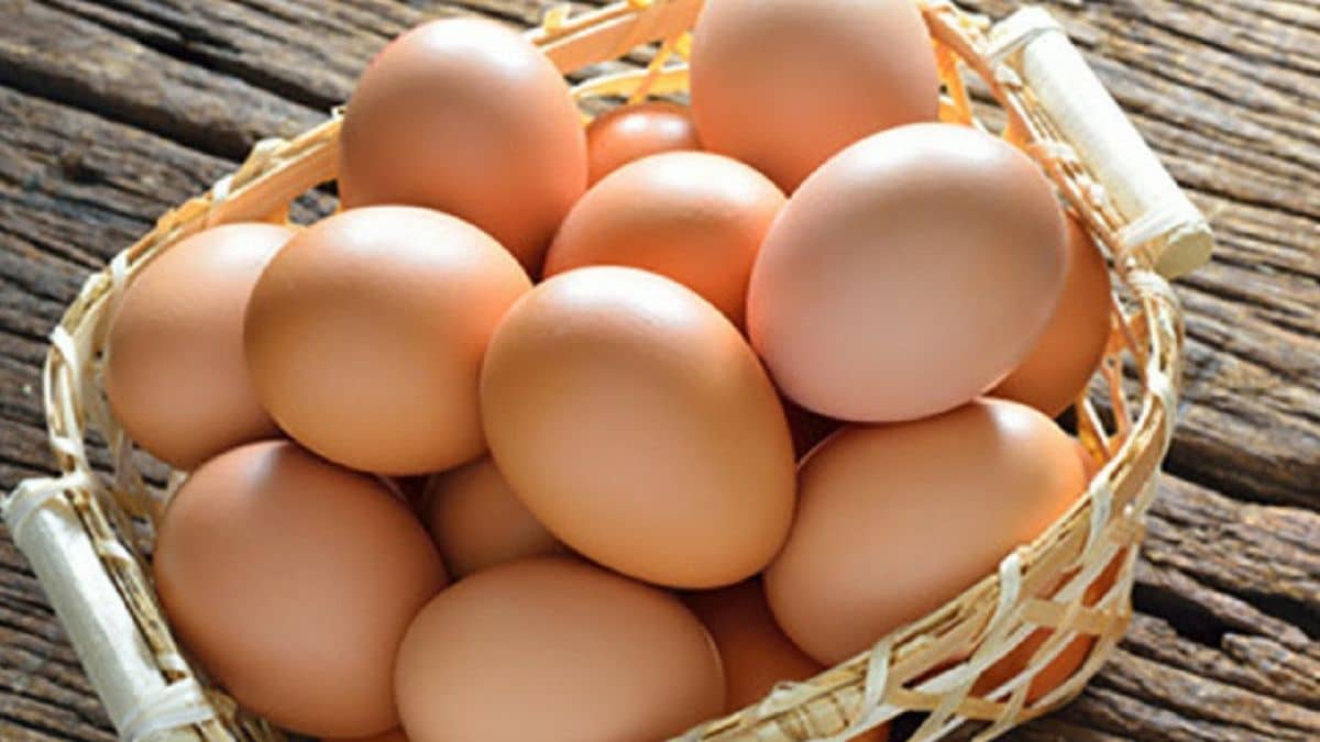 5 health benefits of eating eggs