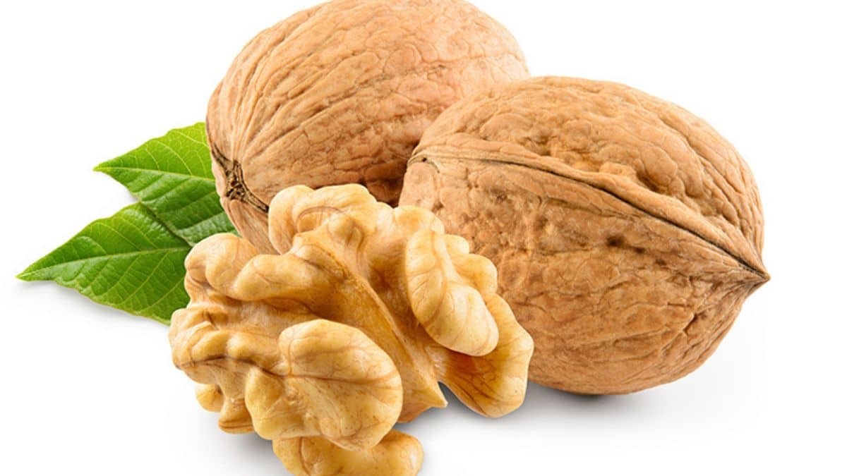 5 health benefits of Walnuts