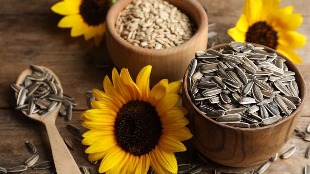 Benefits of including Sunflower seeds in your diet
