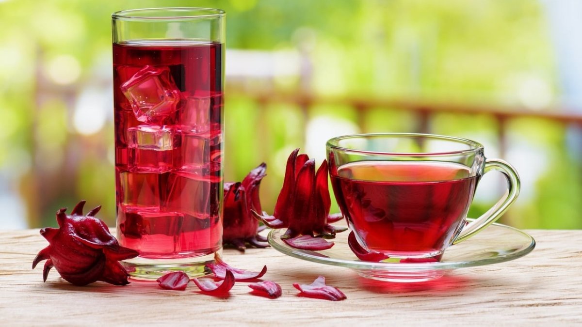 Hibiscus Tea: Know the benefits and risks