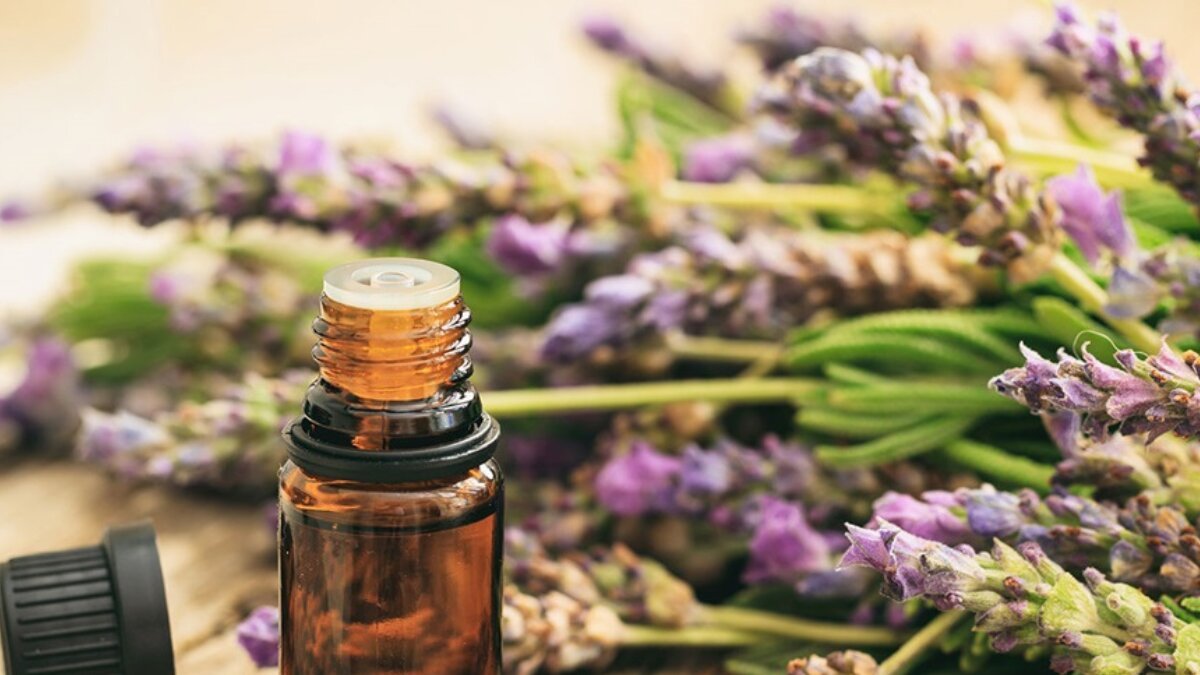 9 Oils You must try for Healthly Hair