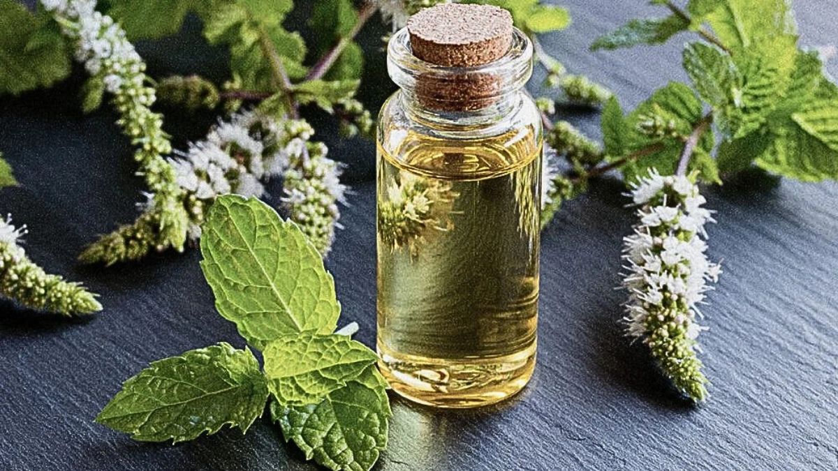 Peppermint Oil: Know the 7 health benefits