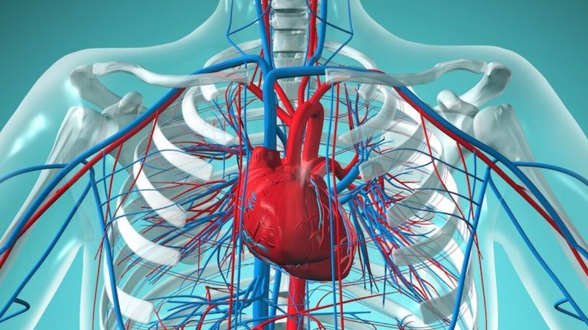 Top 5 Ways to Keep Your Heart Healthy