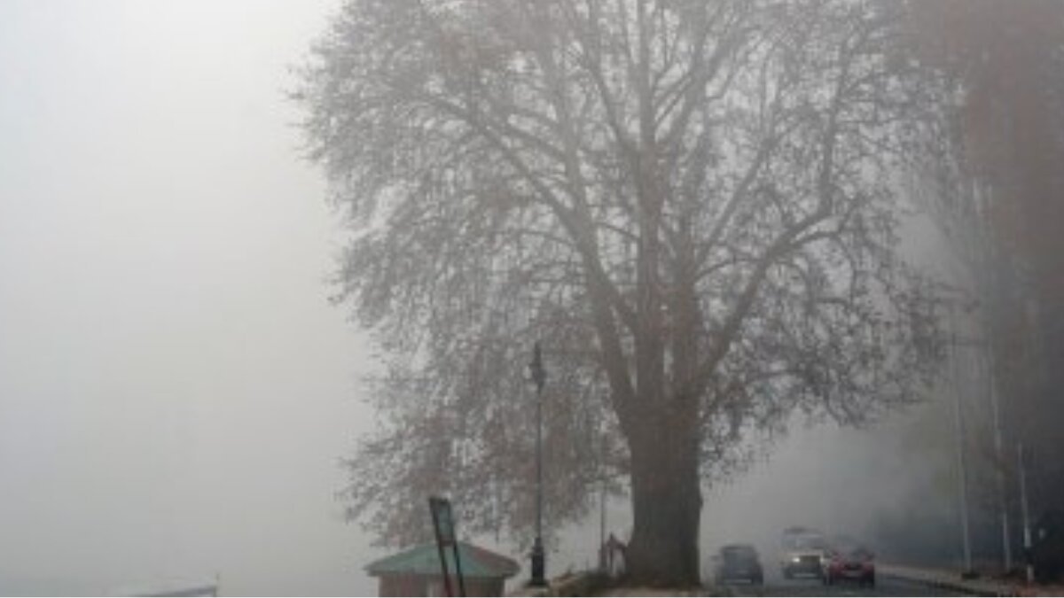 Unusual Cold Wave Grips Purulia; Temperatures Dip to 12.1°C