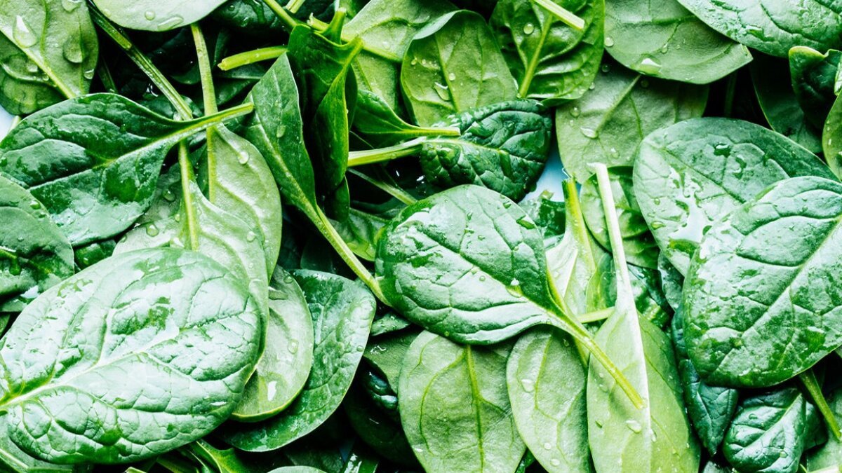 Spinach: The Green Superfood Your Diet Needs