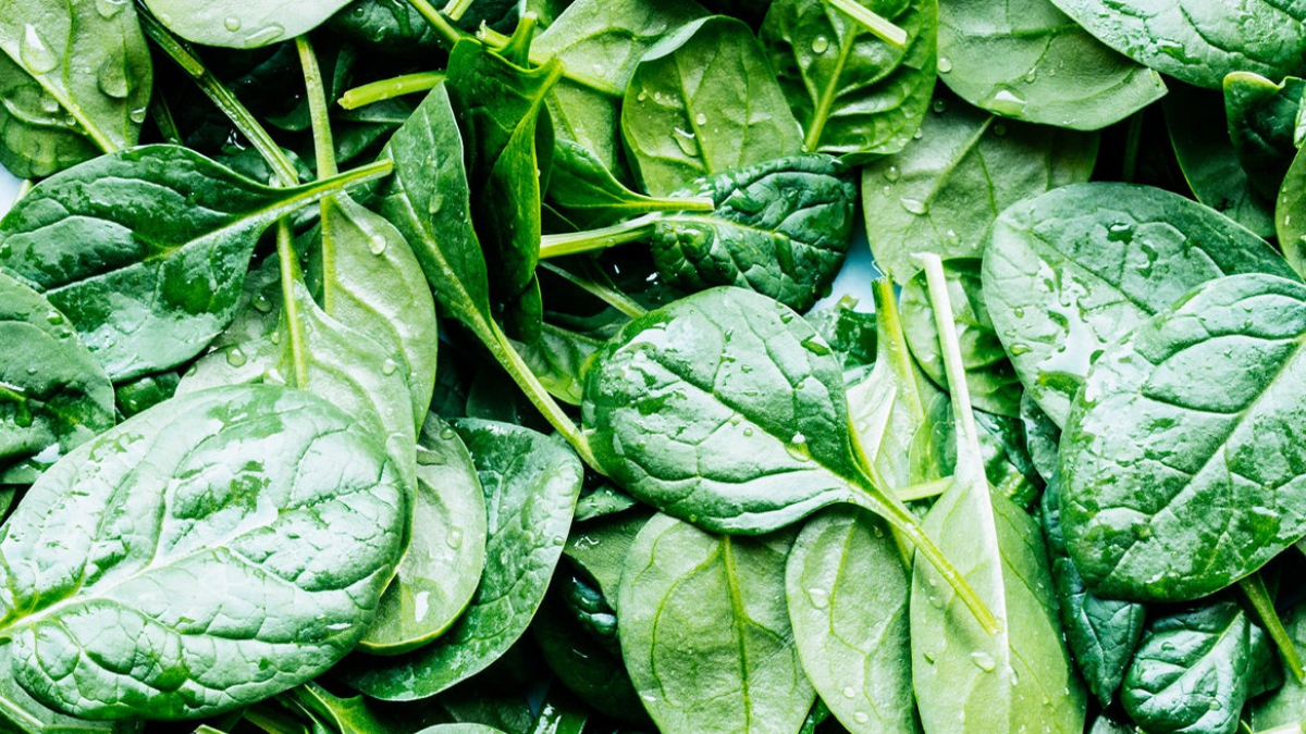 Spinach: The Green Superfood Your Diet Needs