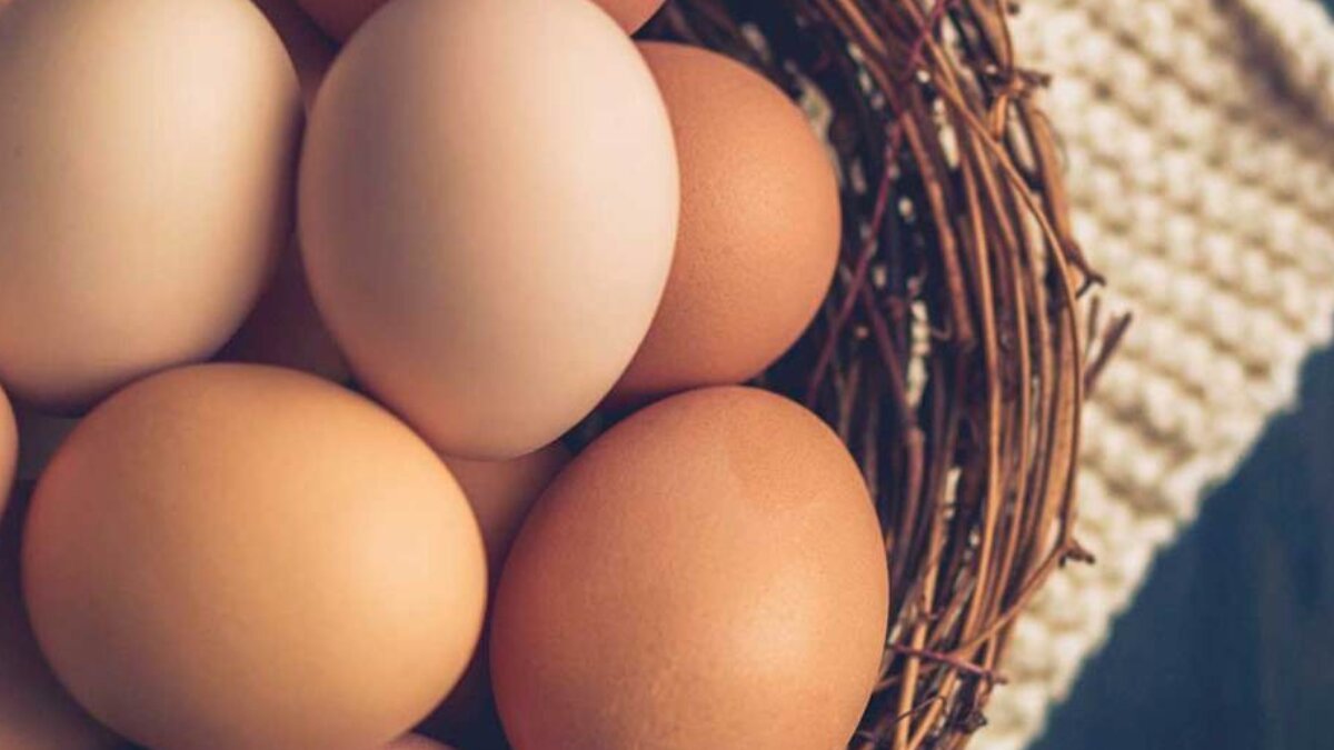 Top 10 Unique Egg Dishes You Must Try at Home for a Flavorful Twist