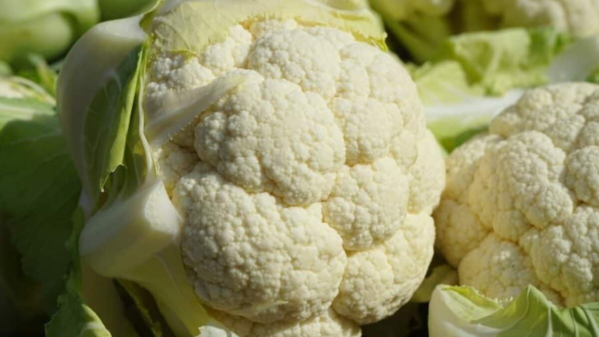 5 Must-Try Cauliflower Recipes for a Healthy and Flavorful Winter
