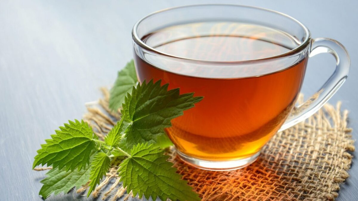 Morning Tea Magic: 5 Reasons to Start Your Day with a Cup