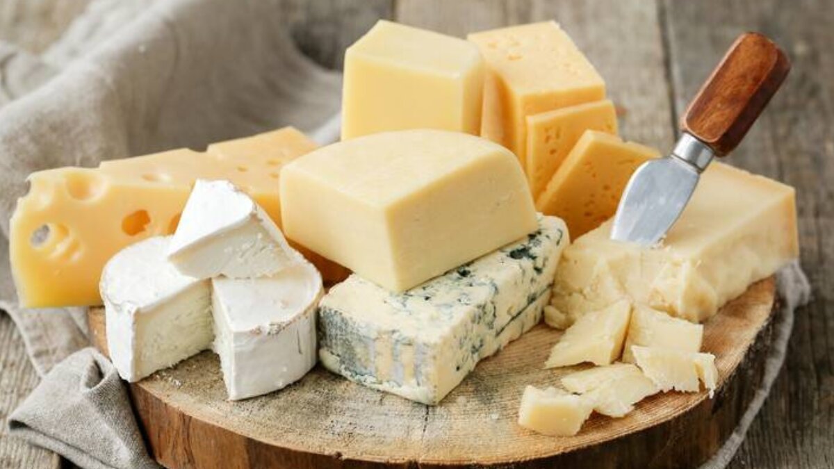 The Bitter Side of Cheese: Why Some Can’t Enjoy This Dairy Delight