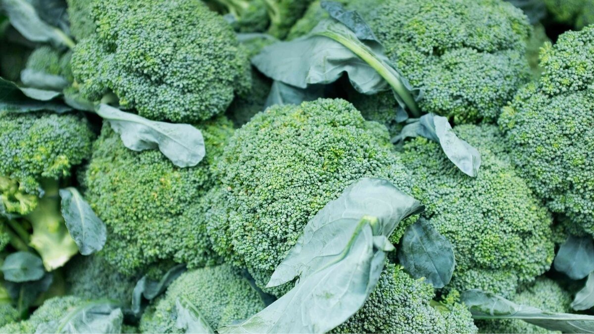 The Superfood on Your Plate: Discover the Benefits of Broccoli