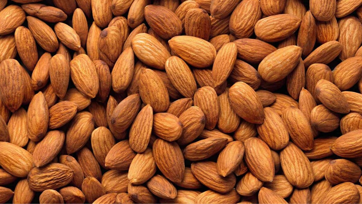 Why Almonds Are a Must-Have for a Balanced Lifestyle