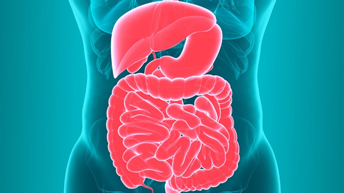 Gut Feeling: 5 Easy Lifestyle Choices to Keep Your Digestive Health on Track