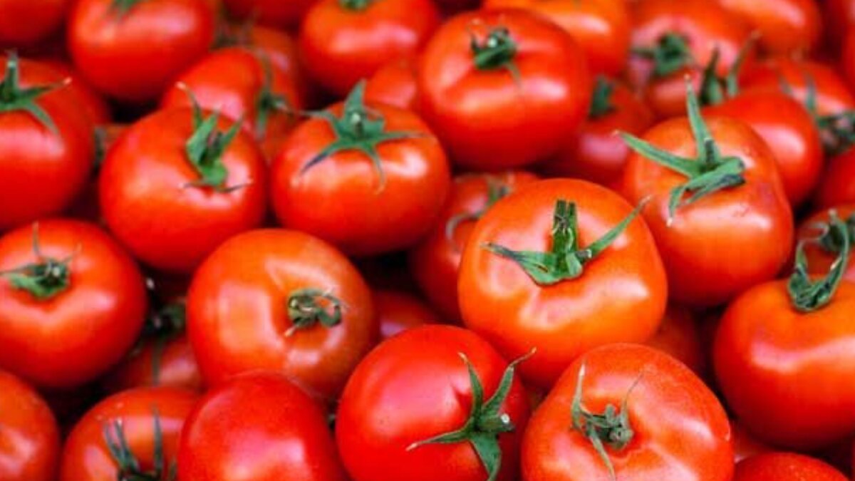 Top 5 Tomato-Based Recipes to Elevate Your Culinary Game