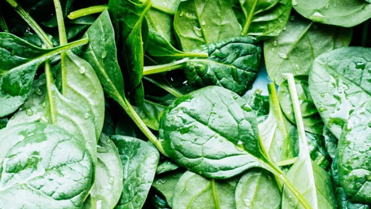 Healthy and Delicious: 5 Must-Try Spinach-Based Dishes