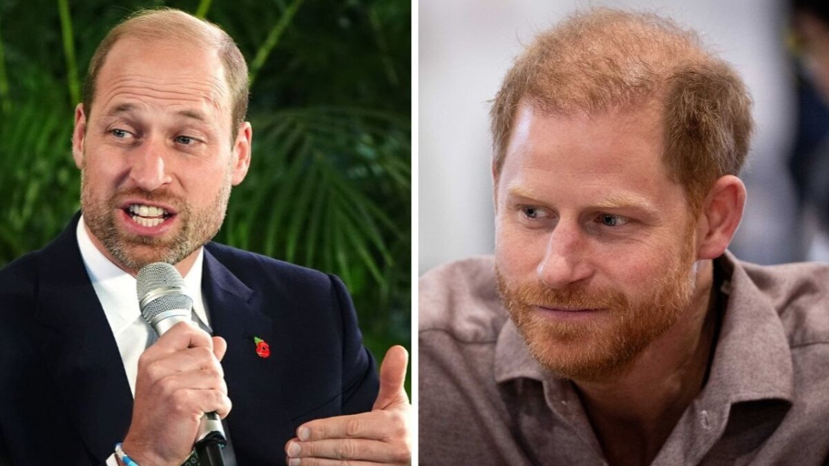 Prince Harry expressed a horrifying fight between him and his older brother Prince William over one familiar issue