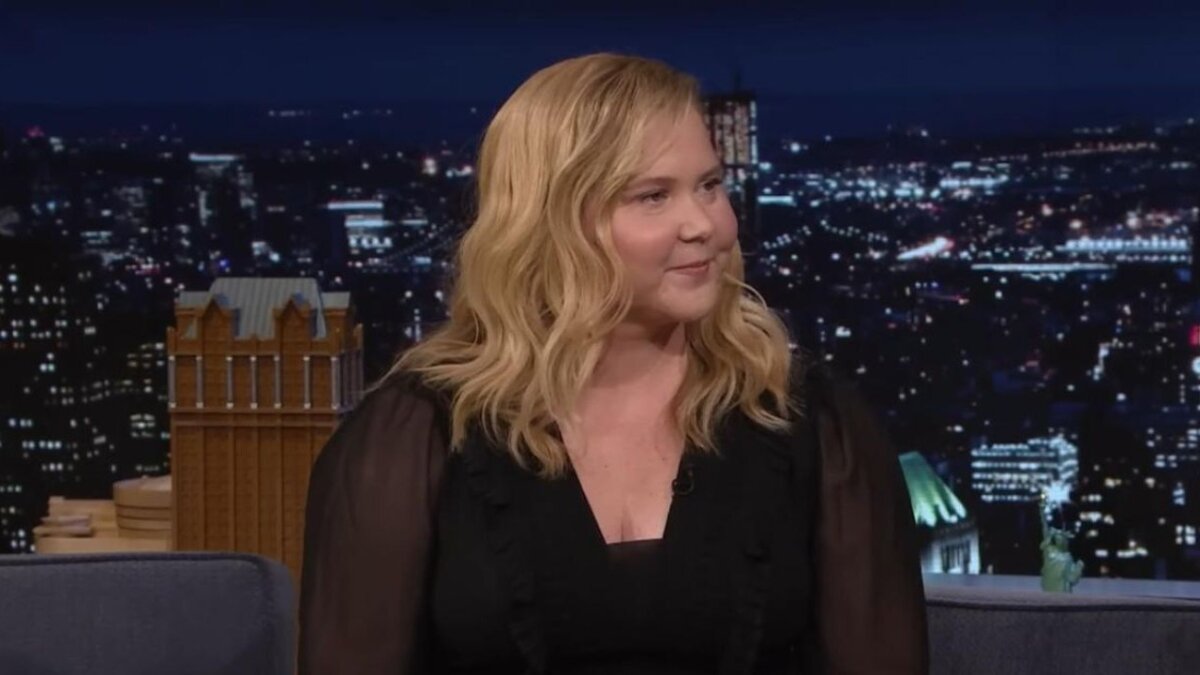 What Do Amy Schumer’s Son And Husband Think Of Her Fame?