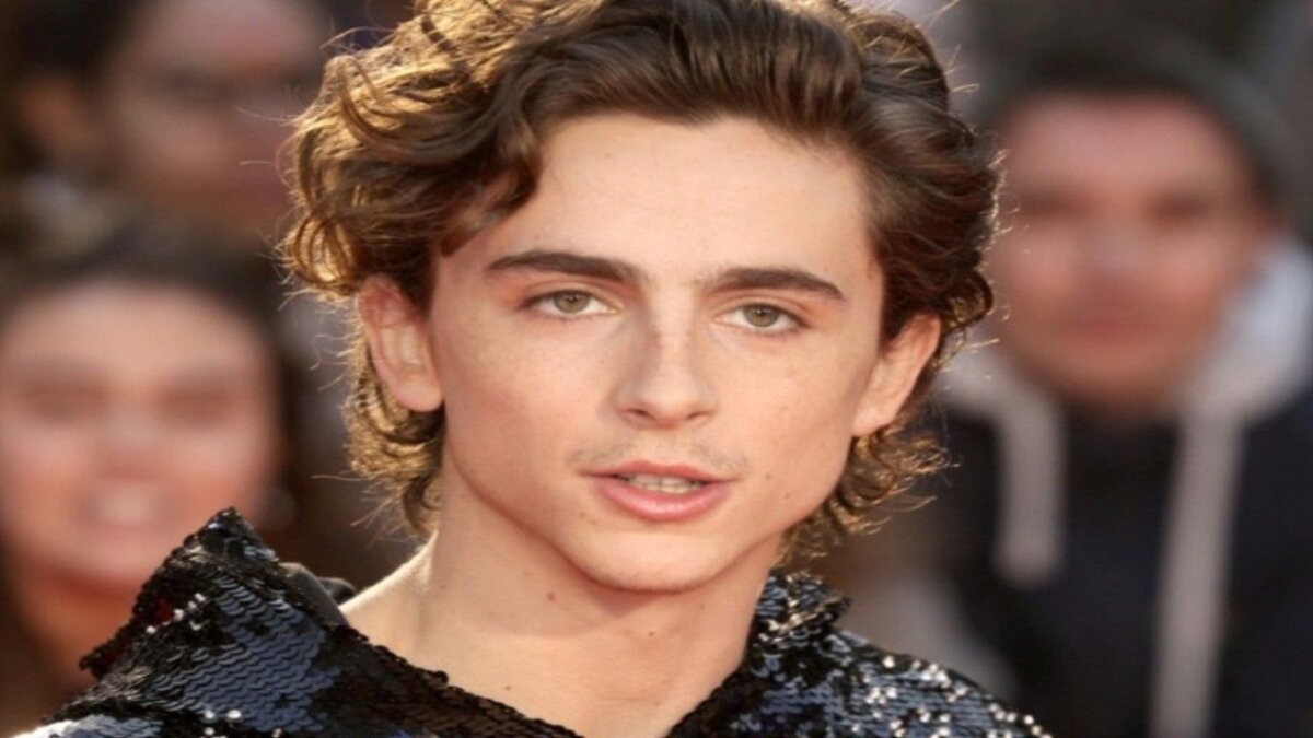 Timothée Chalamet Leaves Fans in Splits With Hilarious Entry to the Premiere of Bob Dylan Biopic