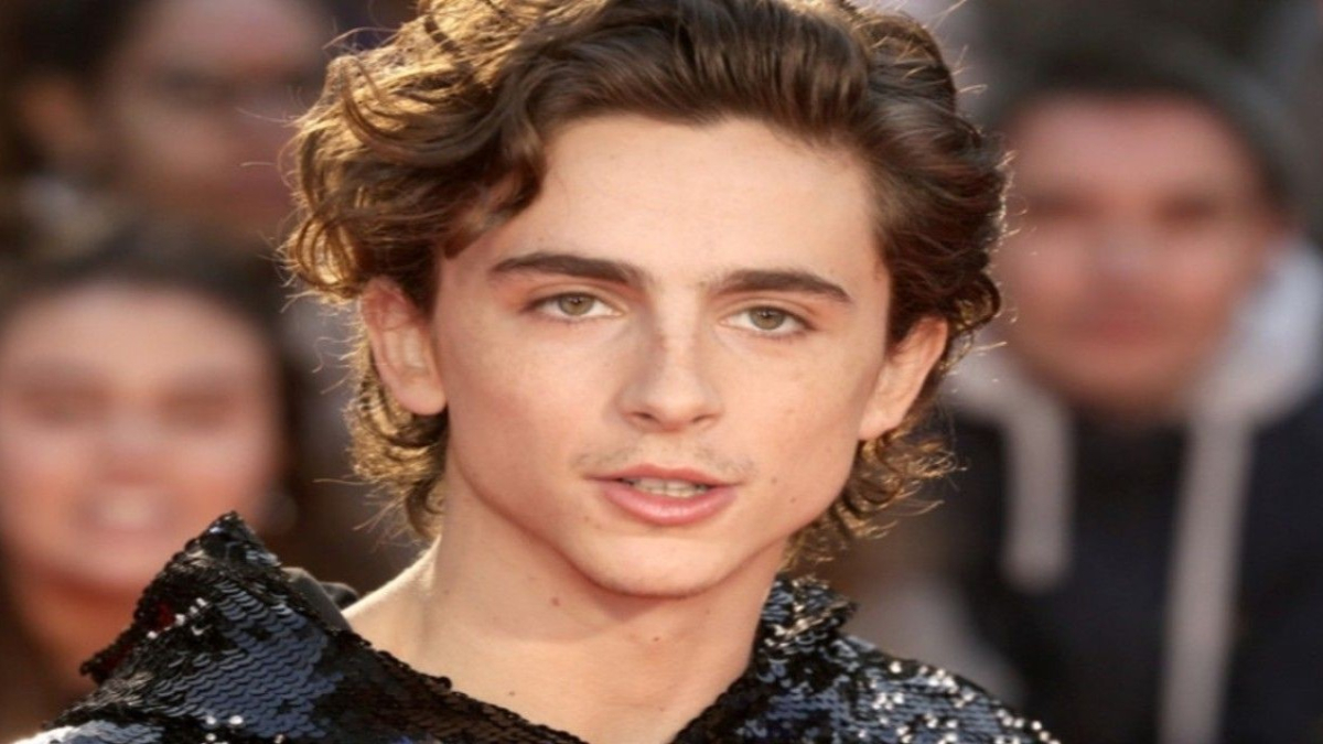 Timothée Chalamet Leaves Fans in Splits With Hilarious Entry to the Premiere of Bob Dylan Biopic