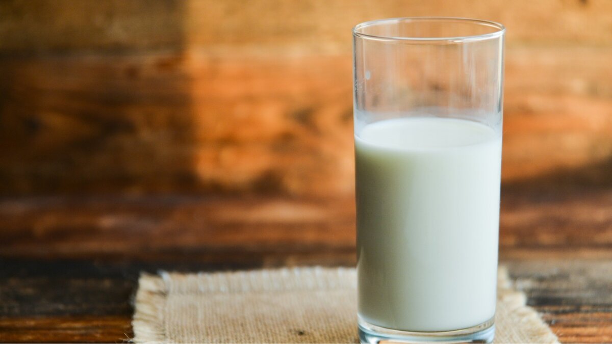 Why You Should Incorporate Milk Into Your Daily Diet