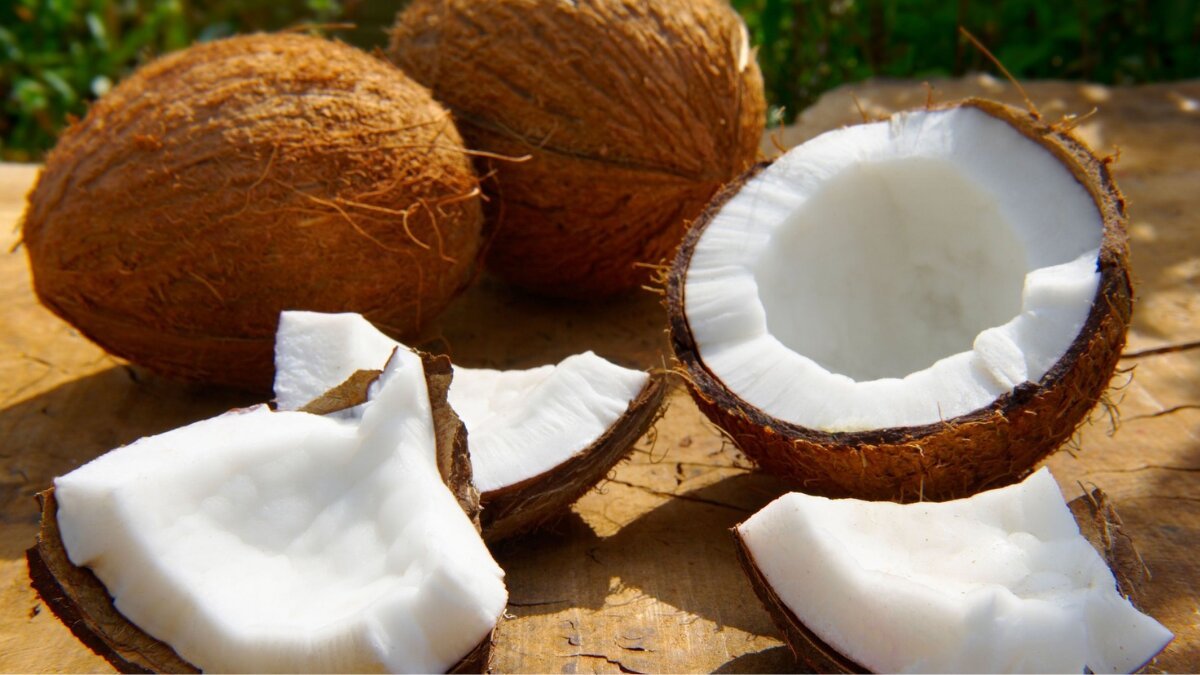 Coconut Delights: 5 Must-Try Coconut-Based Dishes for Every Food Lover
