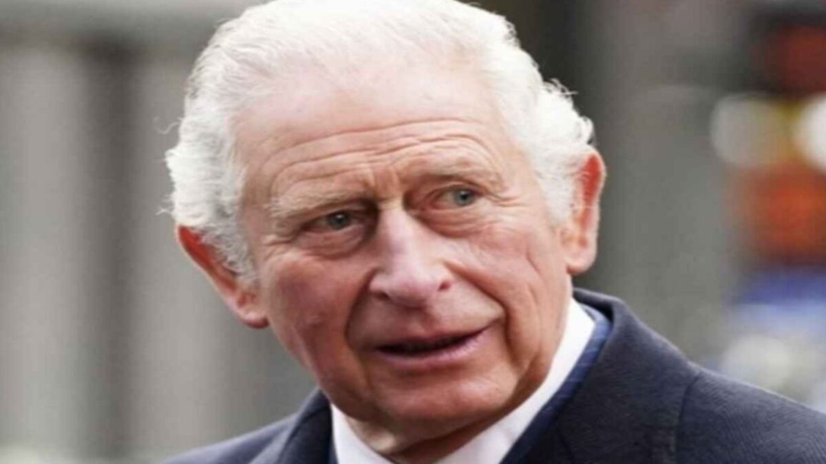 King Charles will be seen in an Amazon Prime documentary that is based on his 2010 book Harmony