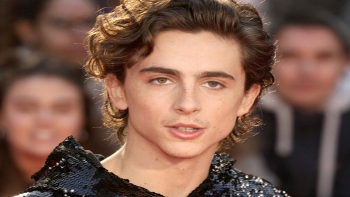 Timothée Chalamet sees similarities between Bob Dylan’s lyrics and Dune’s caution about saviors