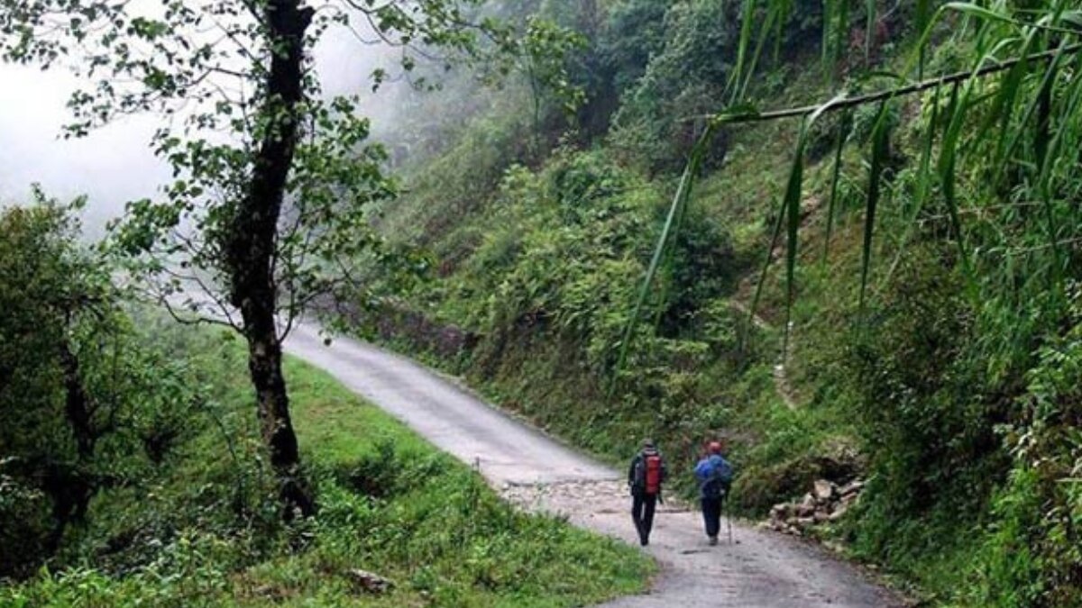Top 5 offbeat places to visit in north bengal this summer for a refreshing escape