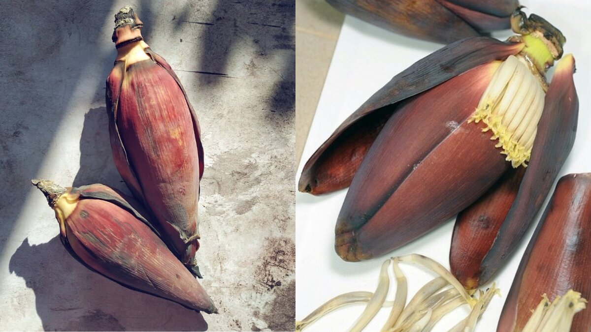 Why banana flower (Mocha) is a superfood secret in bengali homes: Health and culinary benefits revealed