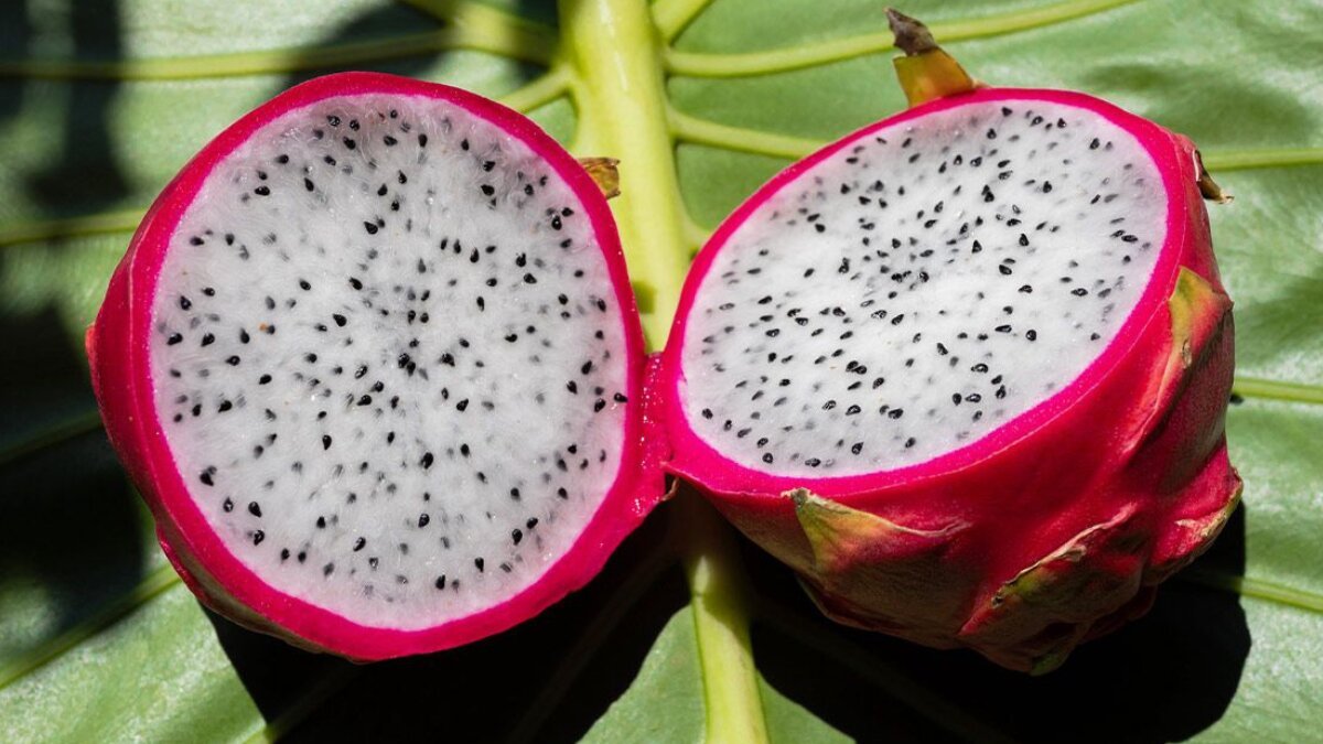 Dragon fruit health benefits: Top reasons to include dragon fruit in your daily diet