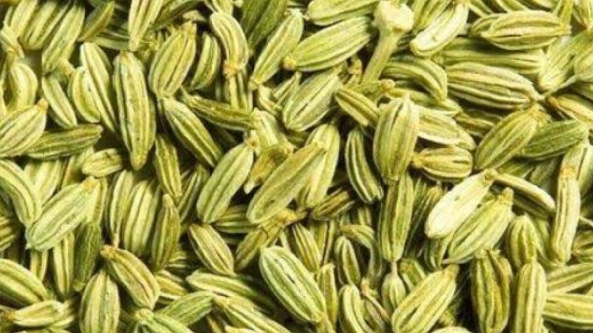 Surprising health benefits of Fennel Seeds: A flavorful superfood for digestion, skin and hormonal balance