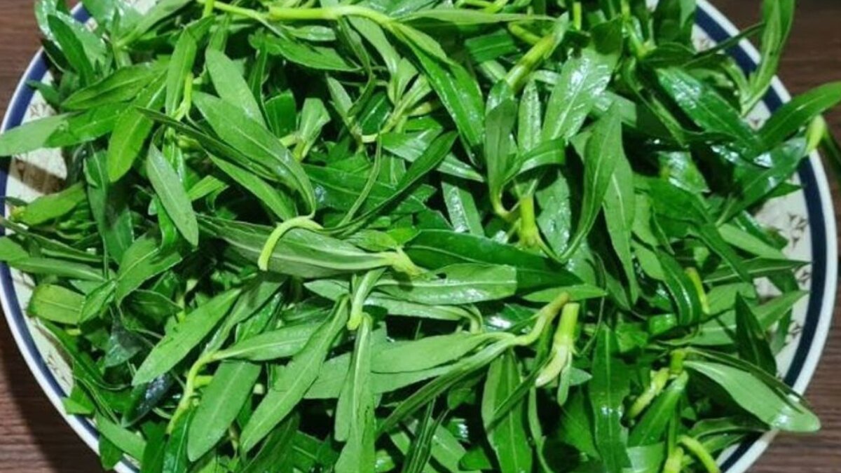 Helencha saag benefits: why buffalo spinach is the healing green your diet needs
