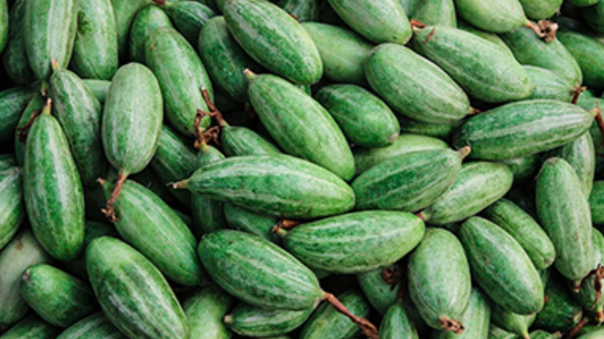 Hidden health benefits of eating parwal regularly: A gut-friendly superfood for blood, skin And weight