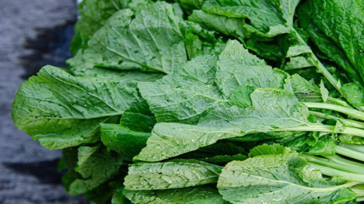 Shorse saag benefits: a powerhouse of nutrition for a healthier lifestyle