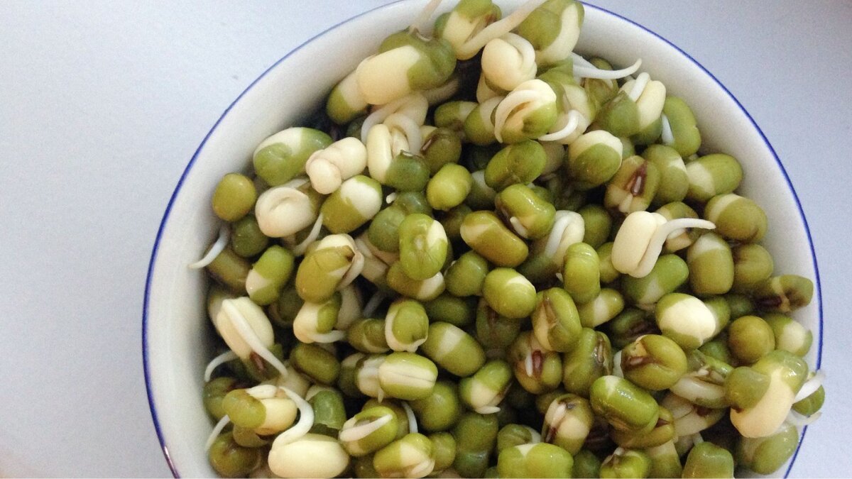 Sprouts and your health: Surprising benefits of adding sprouts to your daily diet