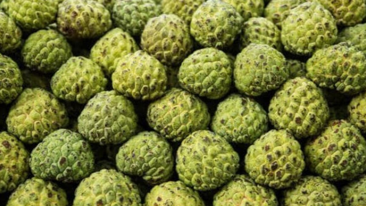 Sugar apple health benefits: why this tropical fruit is great for energy, skin, and digestion
