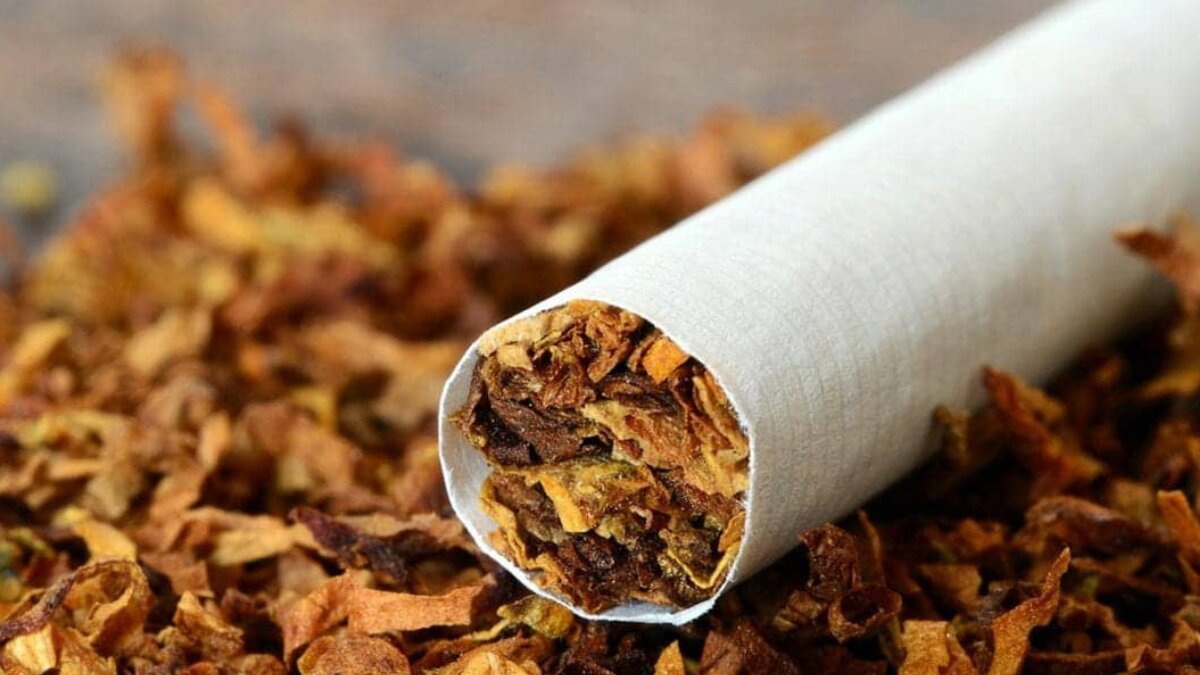 Tobacco’s silent damage: shocking health effects every smoker should know