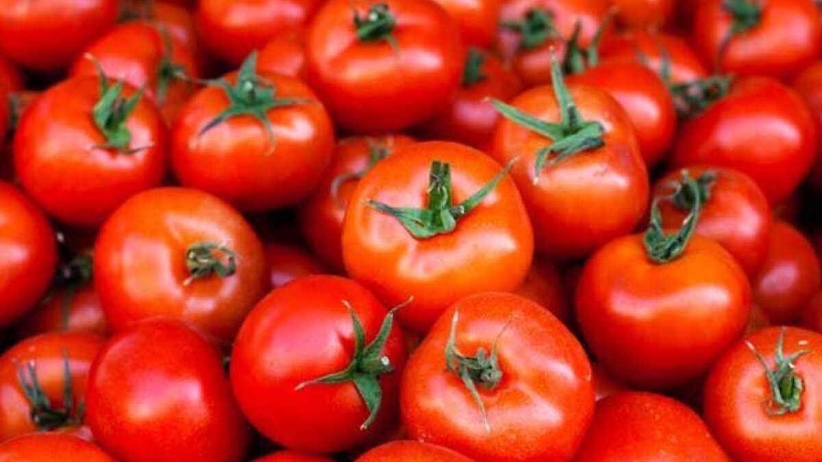 Why eating tomatoes daily is a game-changer for your skin, heart and weight