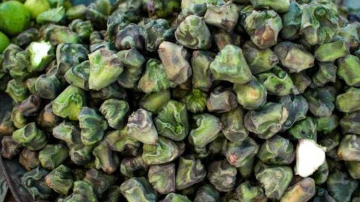 Panifal power: Why water chestnut deserves a spot in your daily diet