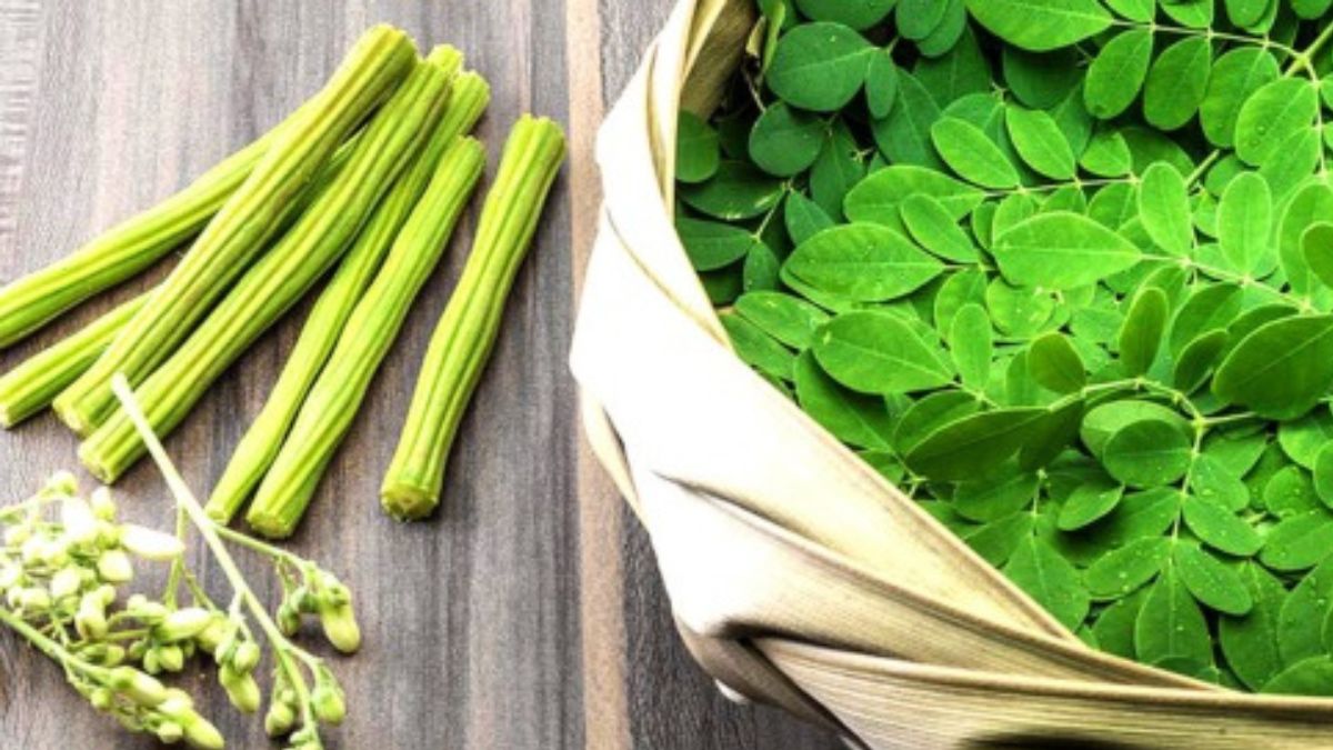 5 Benefits of having drumstick (Moringa): Nutritional, medicinal, and health insights