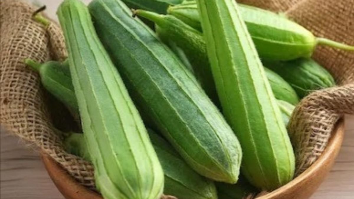 5 Scientifically proven benefits of ridge gourd (turai) for health and wellness