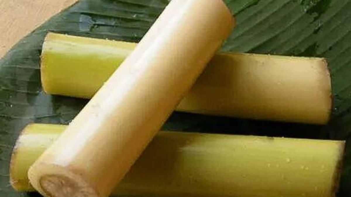 5 Benefits of having banana stem: a natural remedy for health and wellness
