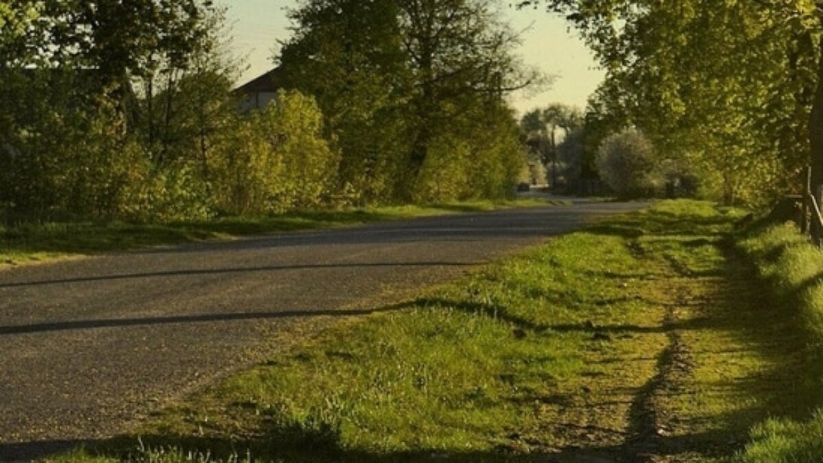 Odisha Woman raped after stopping roadside to urinate while traveling with nephew; 3 arrested